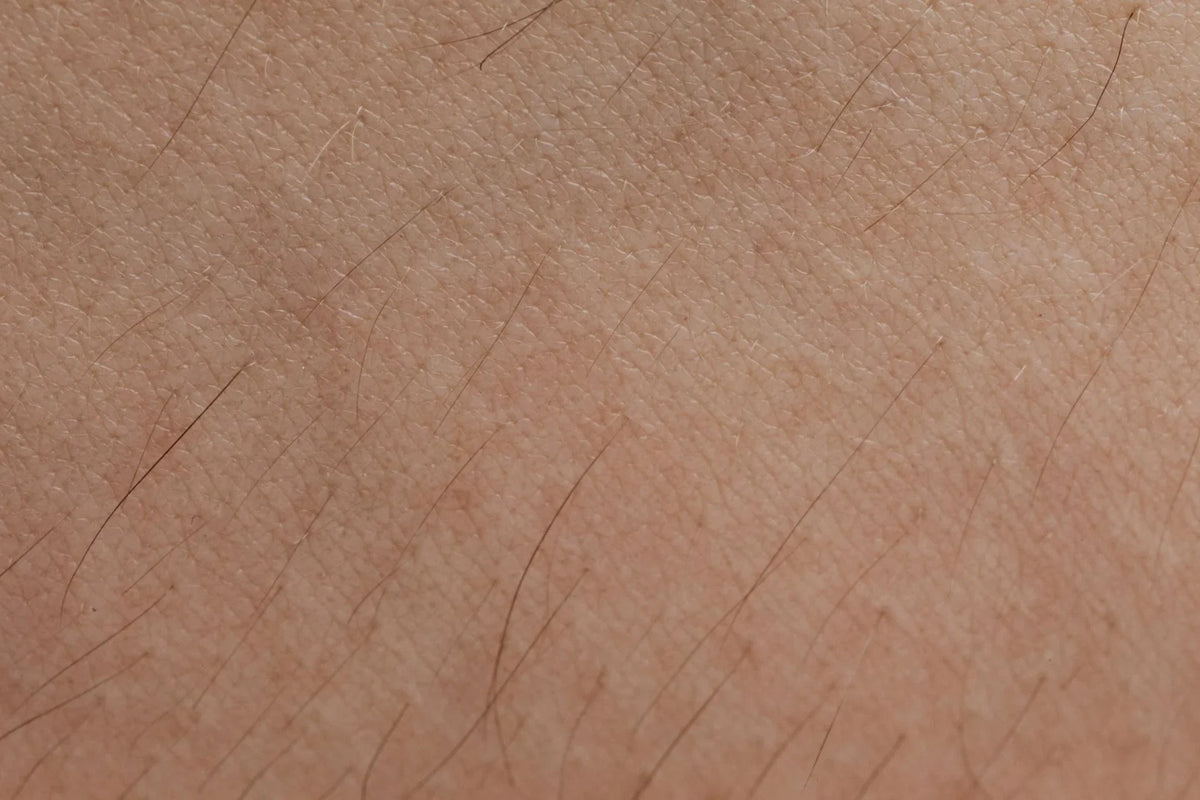 Semana 4